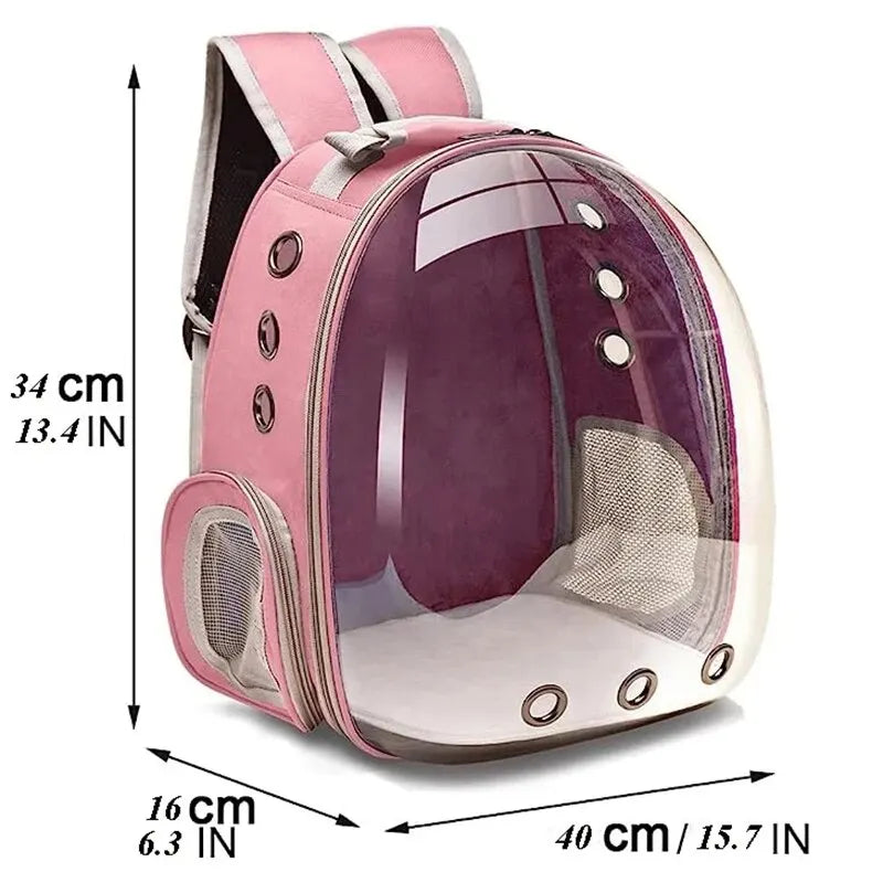 Transparent Backpack