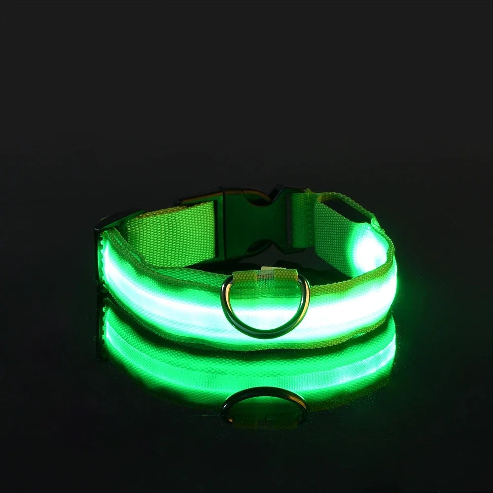 Nylon LED