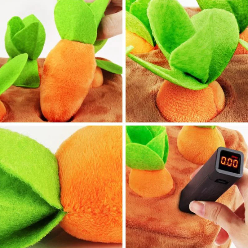 Carrot Pulling Interactive