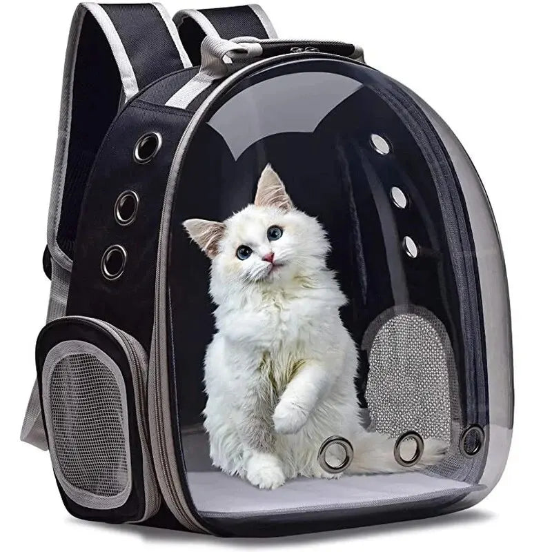 Transparent Backpack