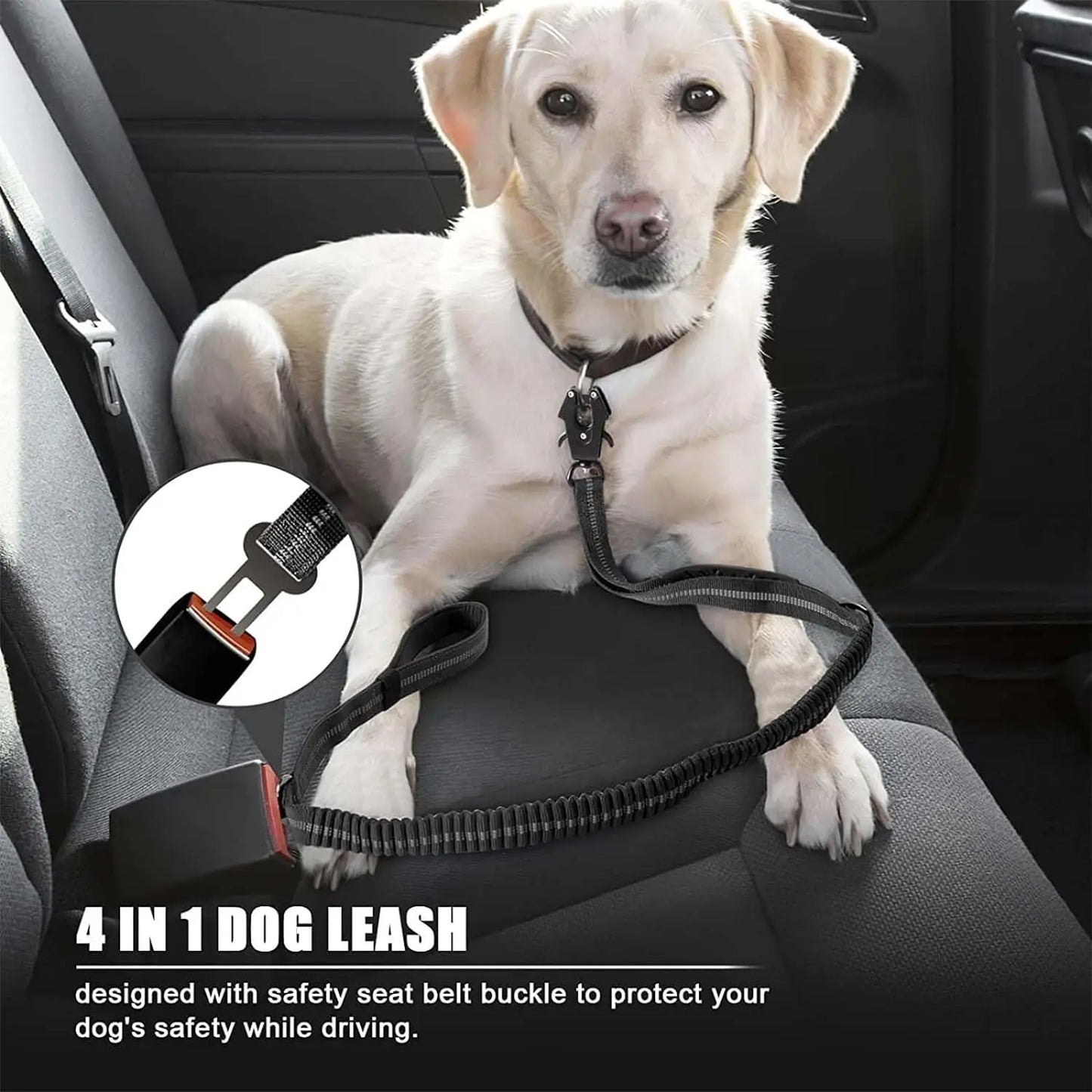 Reflective Shock Leashes