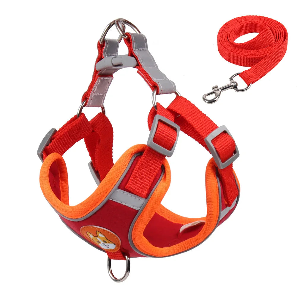 Harnessio