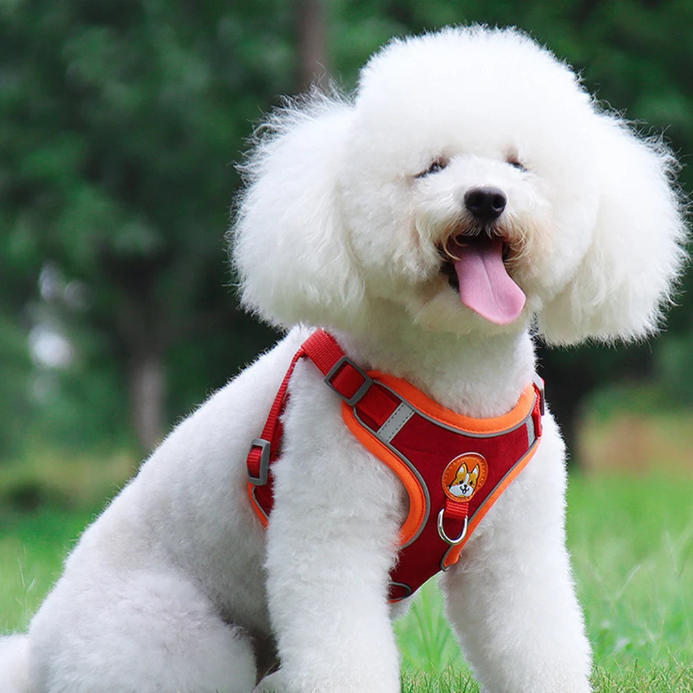 Harnessio