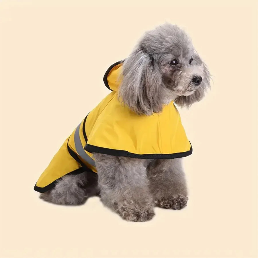 London coat