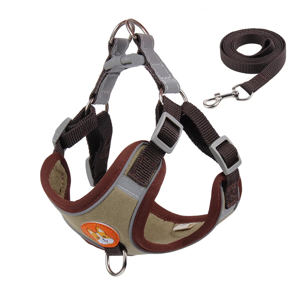 Harnessio