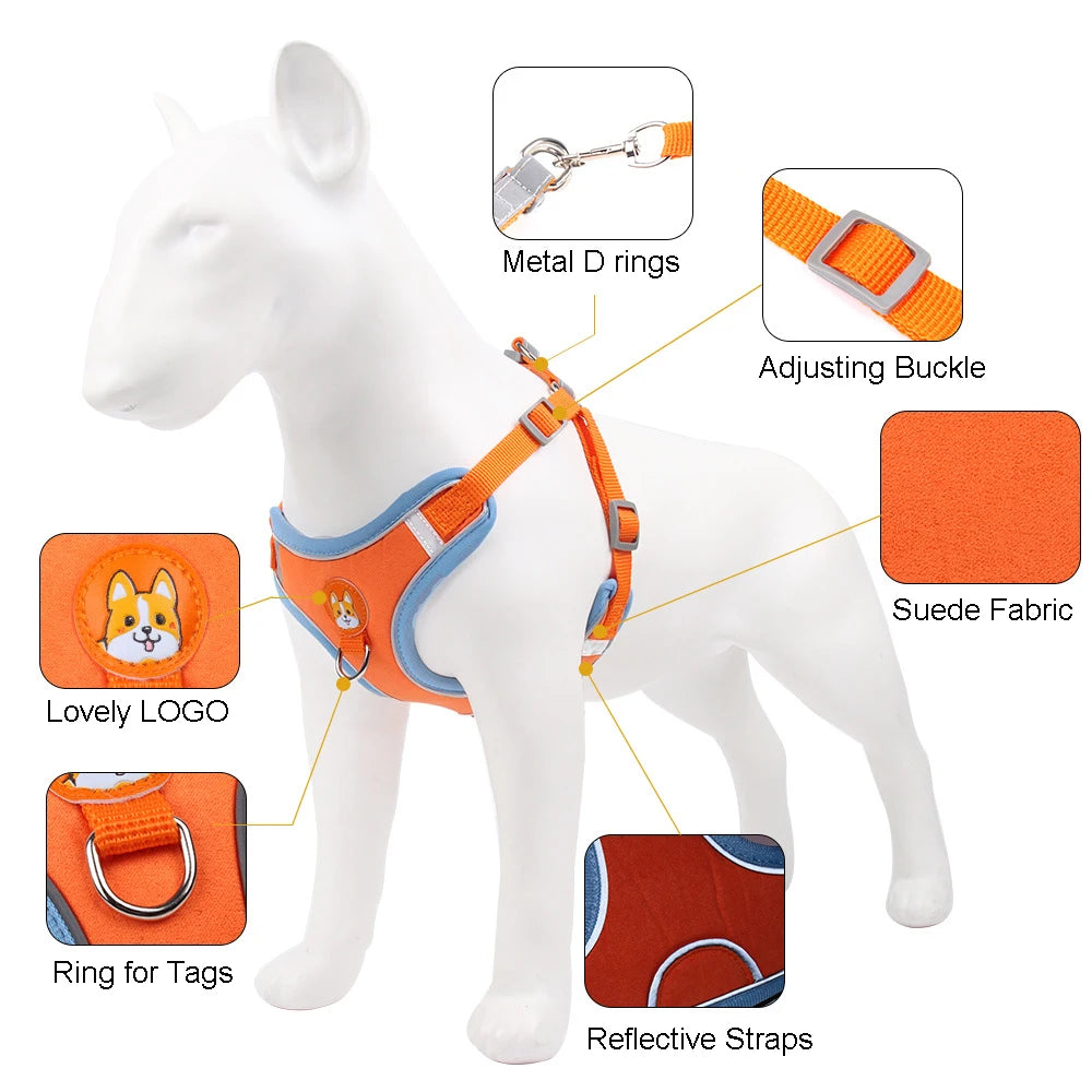 Harnessio