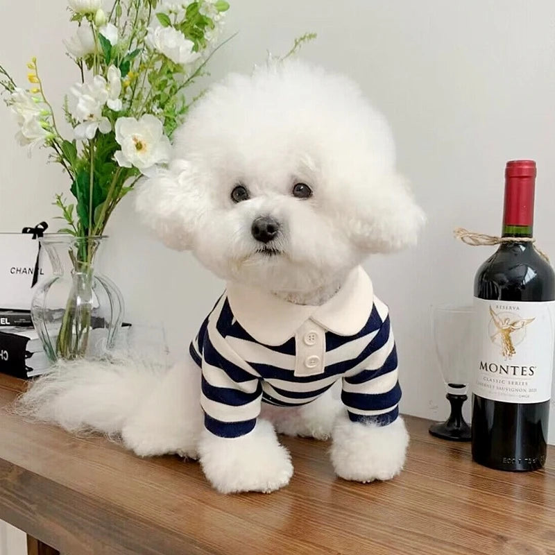 Poliano Shirt