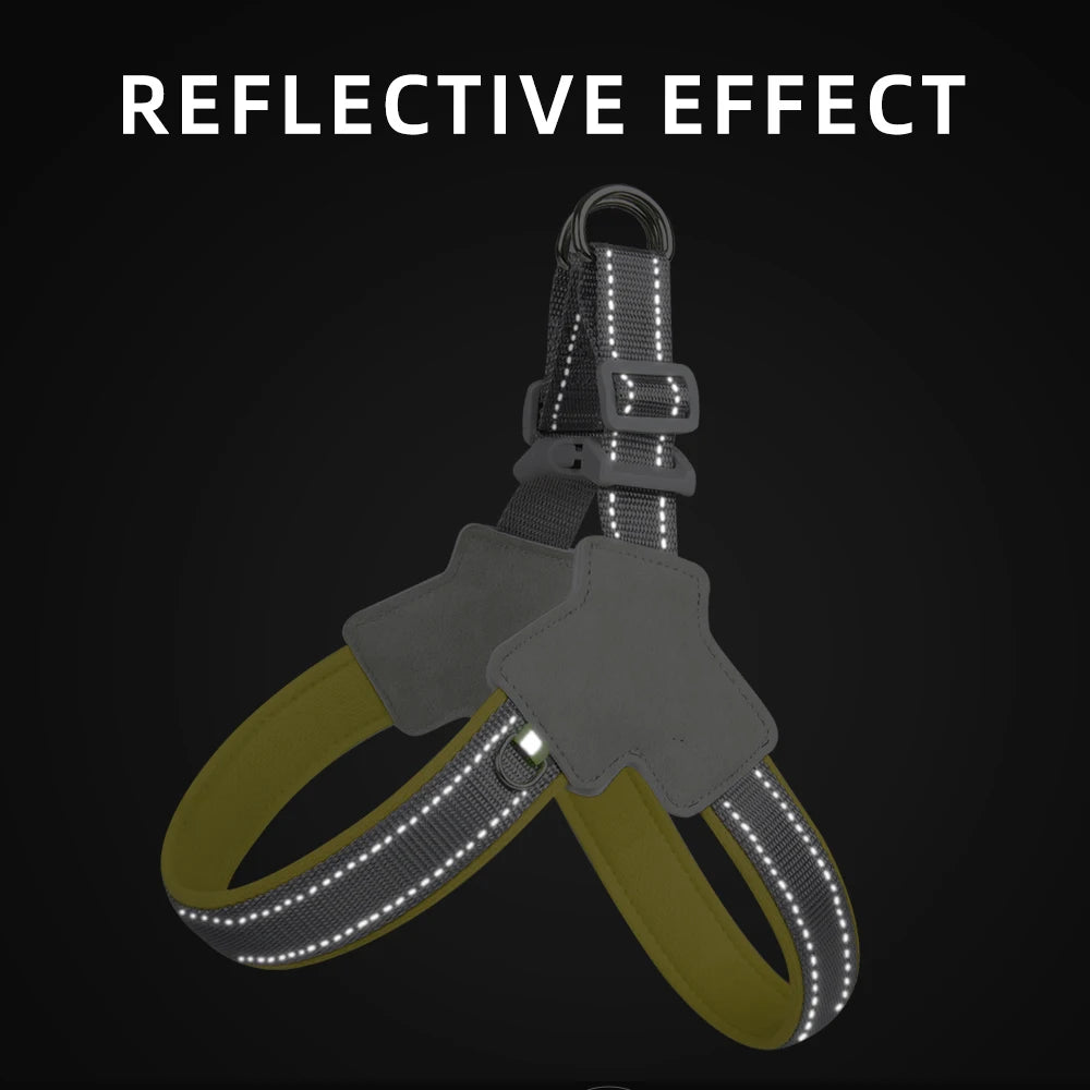 Reflective Harness
