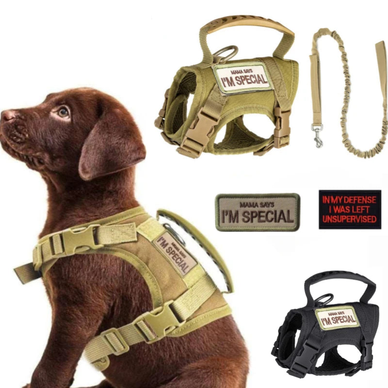 Tactical Vest