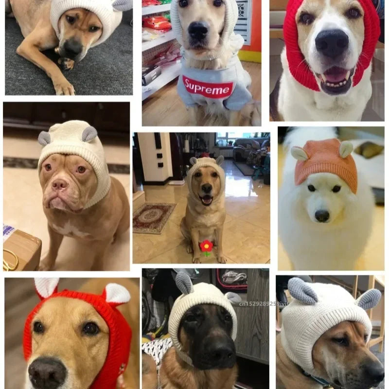 Dog Ear