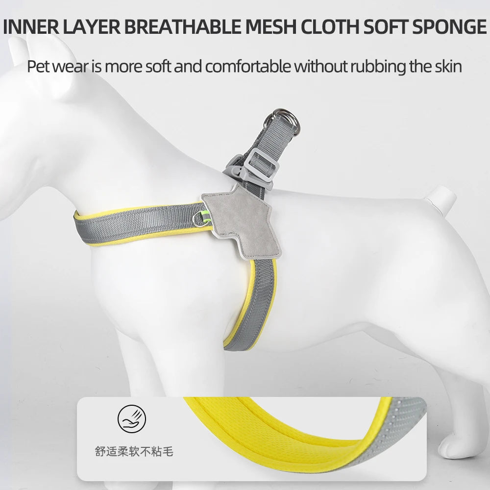 Reflective Harness