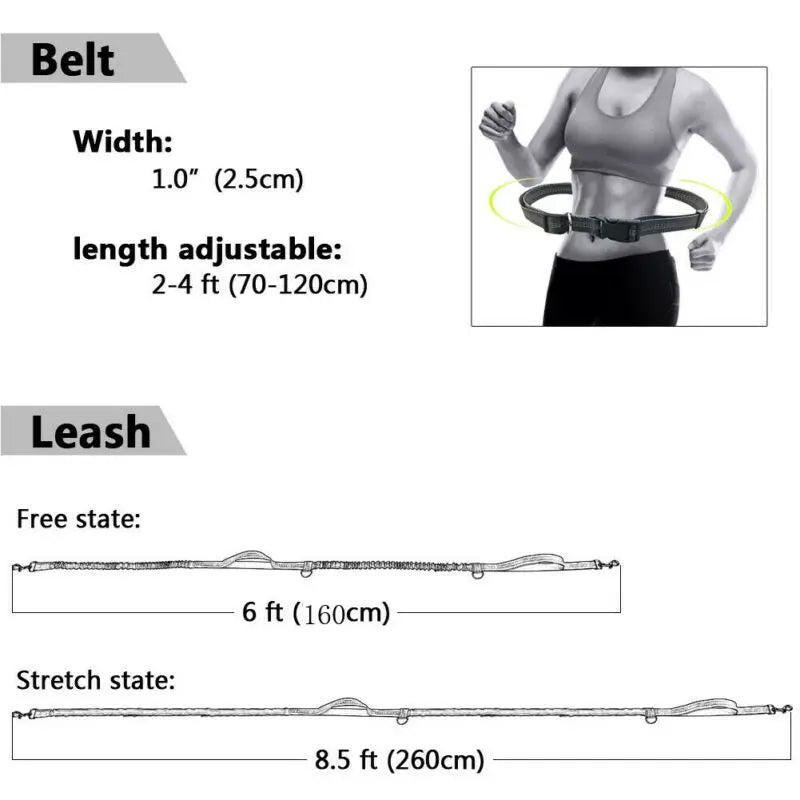 Running Belt