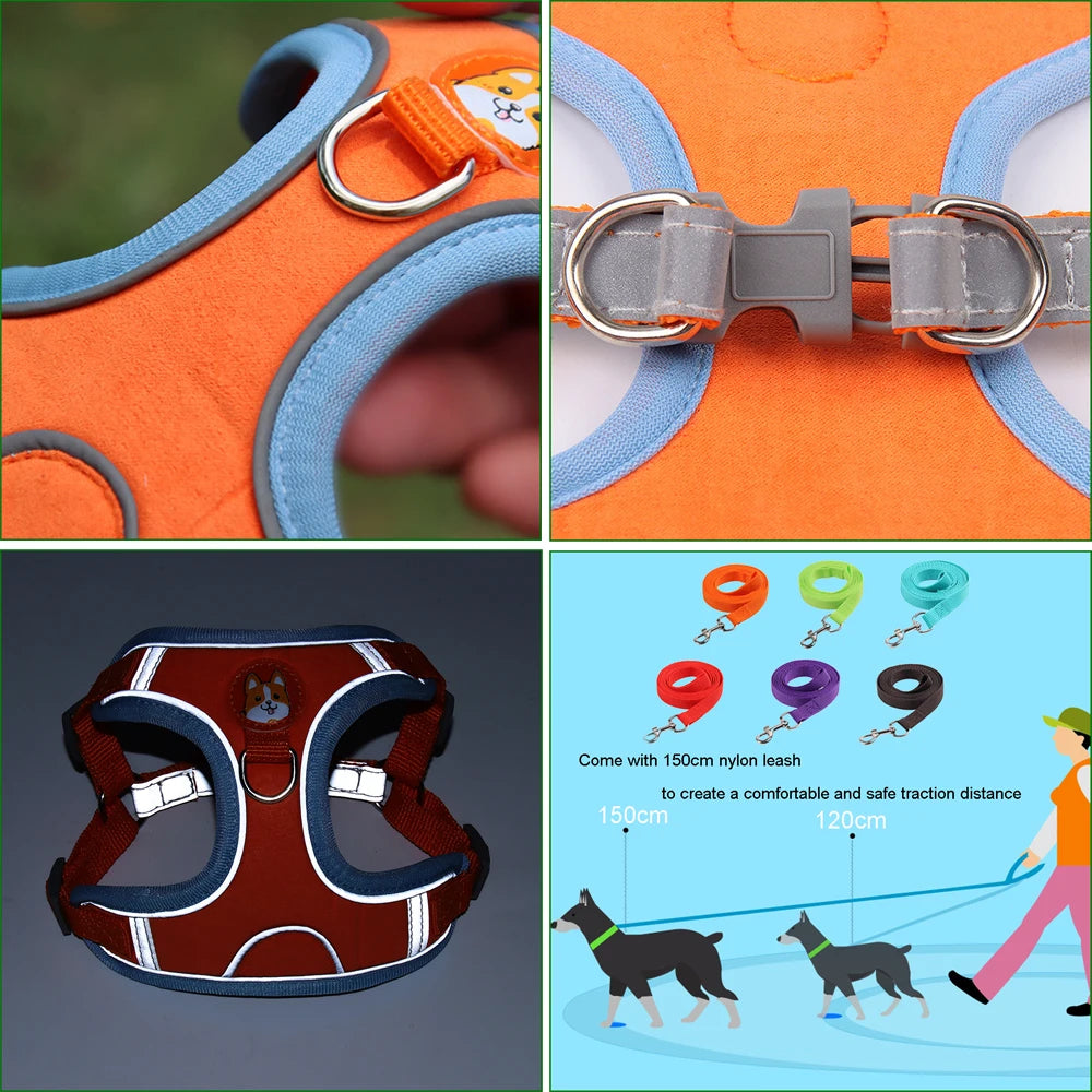 Harnessio