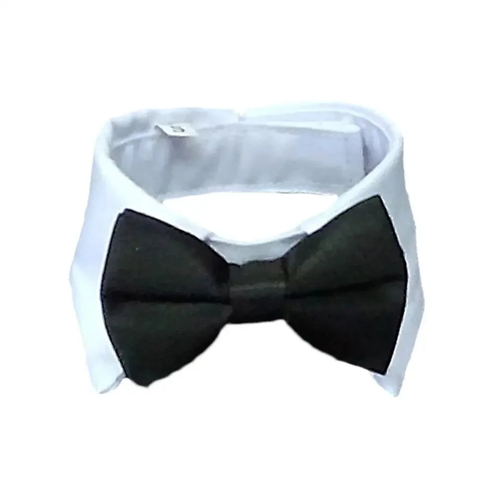 Pet Tie