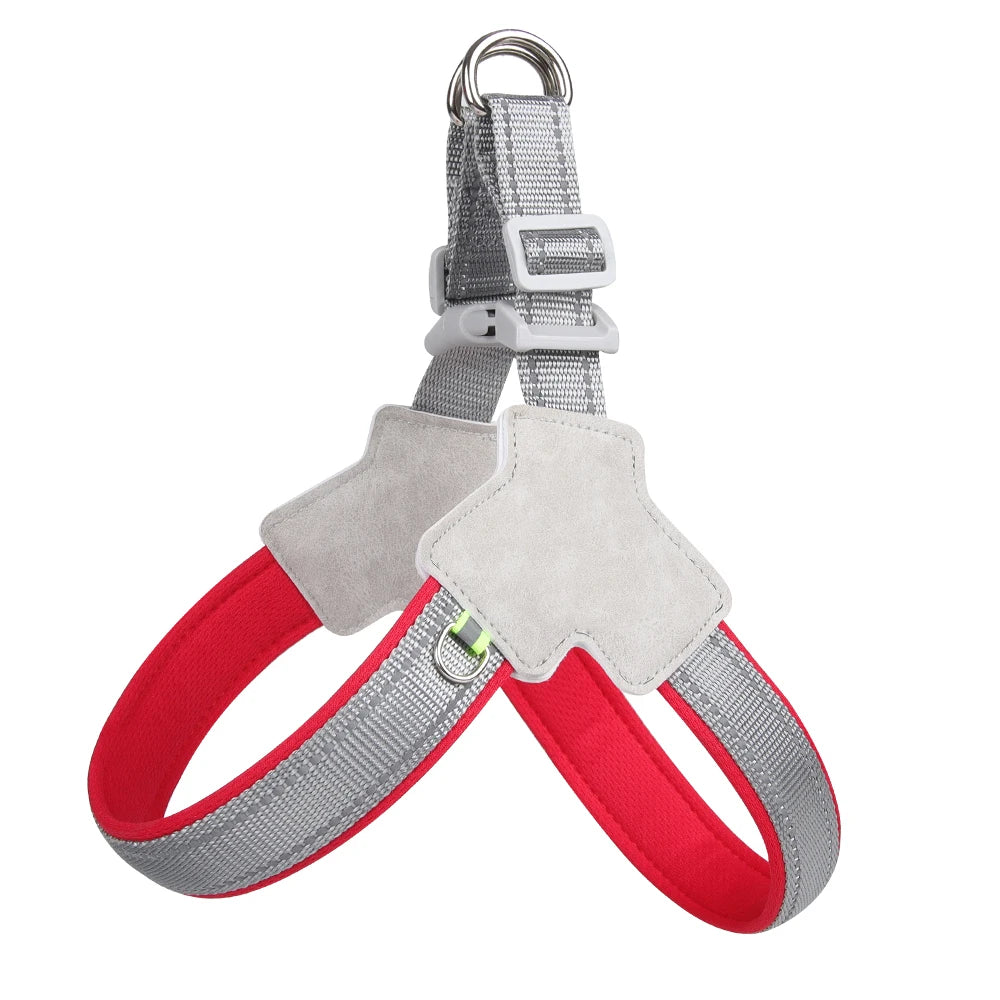 Reflective Harness