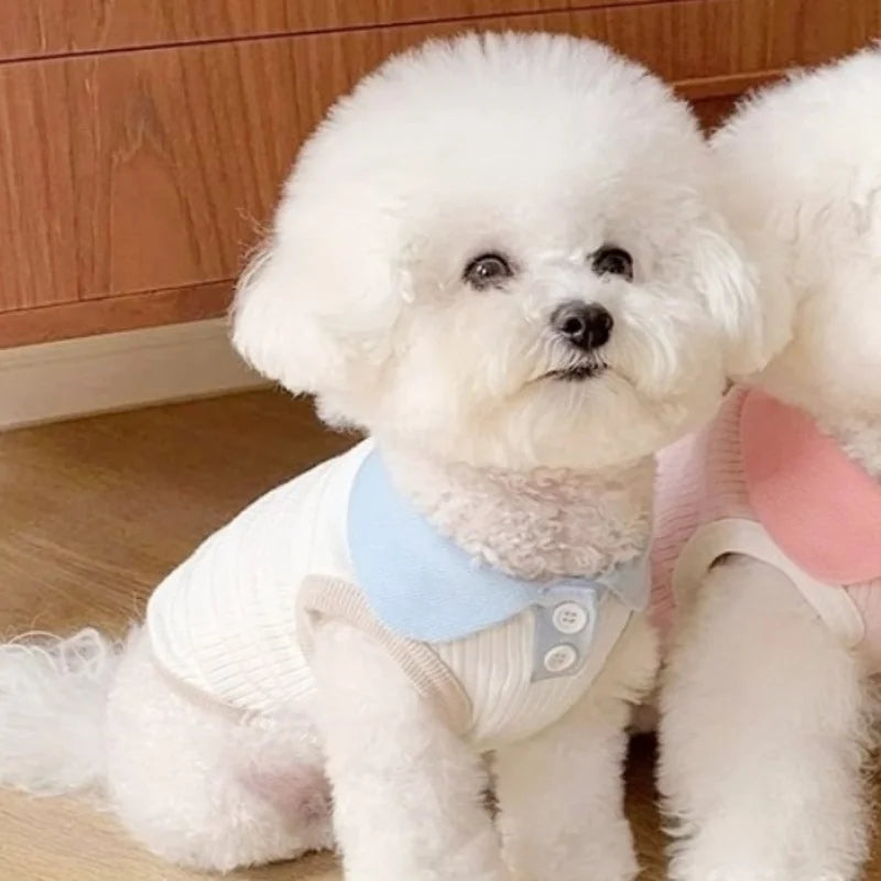Puppy Vest