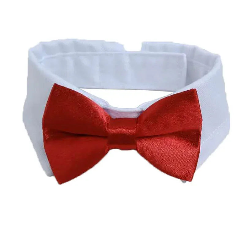Pet Tie