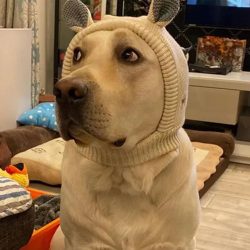 Dog Ear