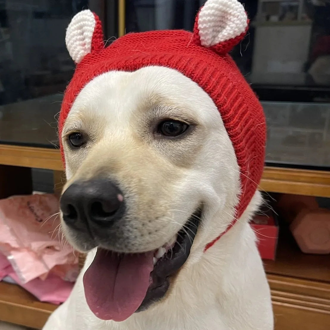 Dog Ear
