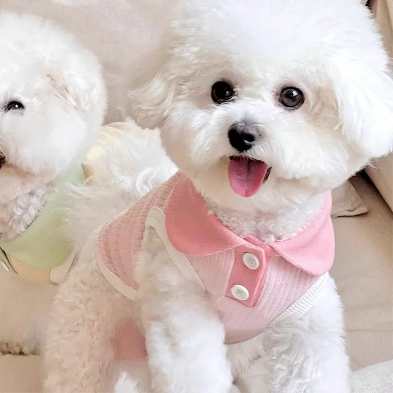 Puppy Vest