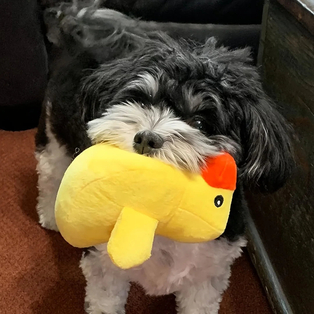 puppy sound