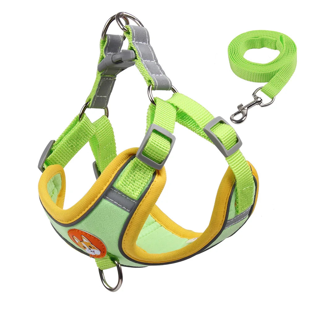 Harnessio