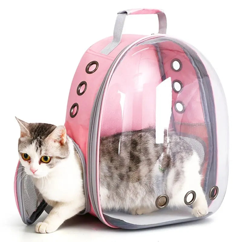 Transparent Backpack
