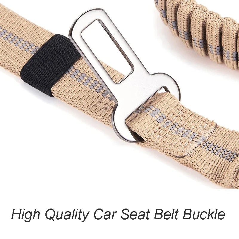 Reflective Shock Leashes