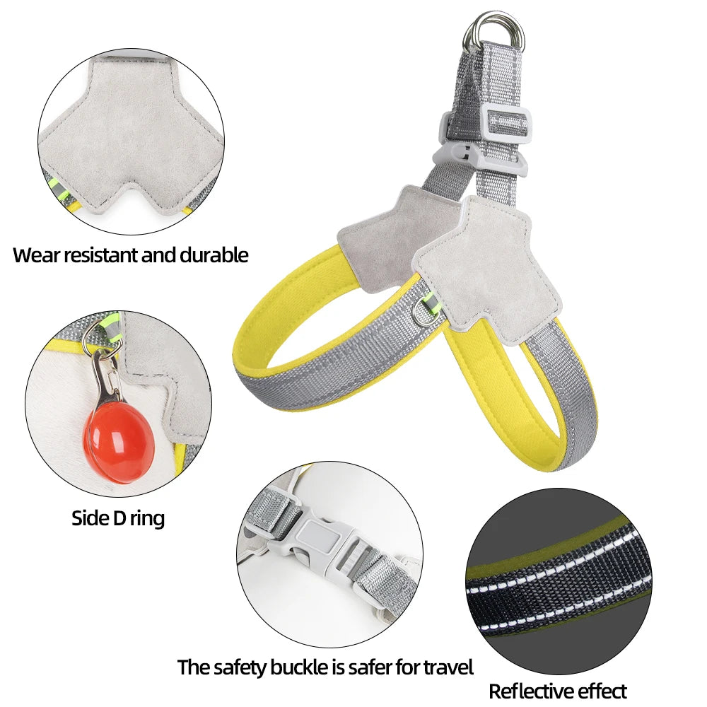 Reflective Harness