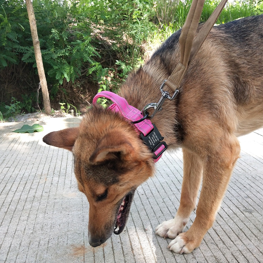 Personalized Tactical Collar