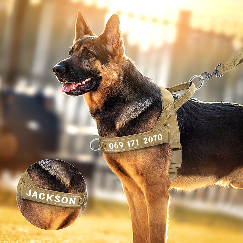 Personalized Military Tactical