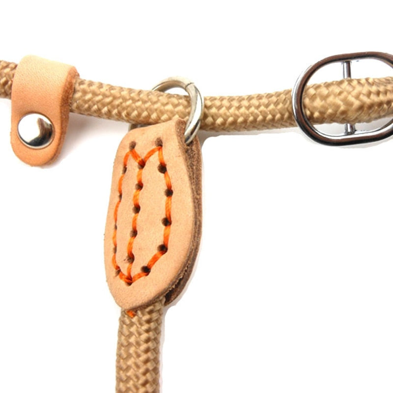 Rope Leash