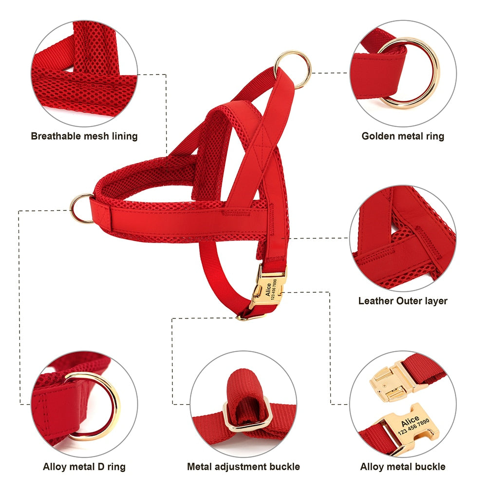Personalized Set Collar Harness Leash