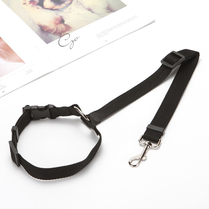 BackSeat Safety Belt