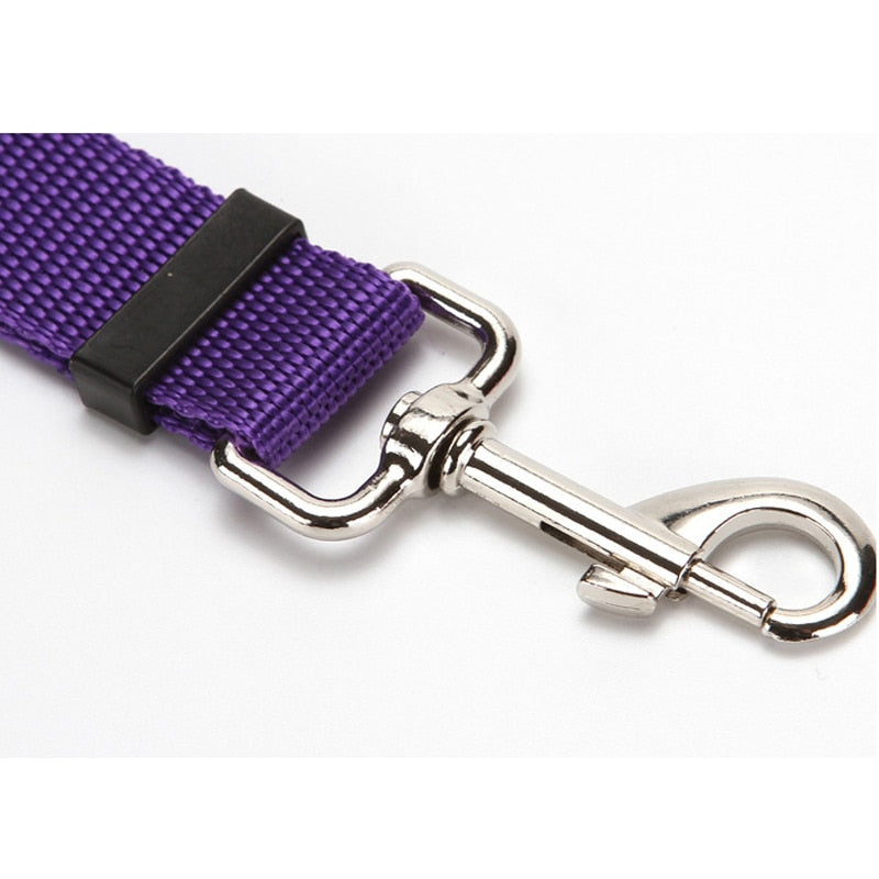 BackSeat Safety Belt