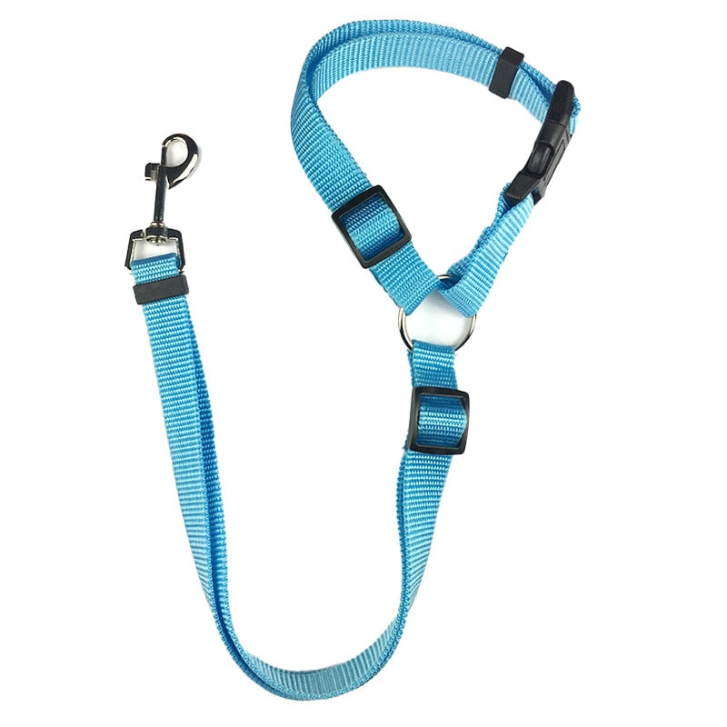 BackSeat Safety Belt
