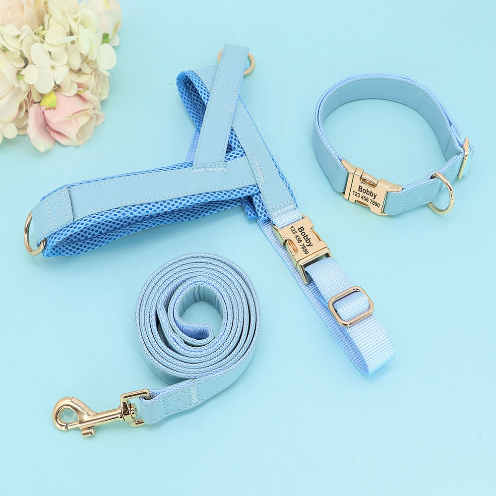 Personalized Set Collar Harness Leash