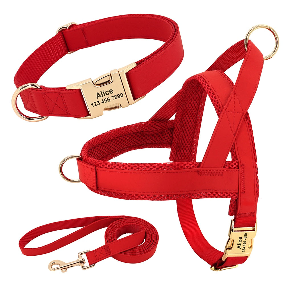 Personalized Set Collar Harness Leash