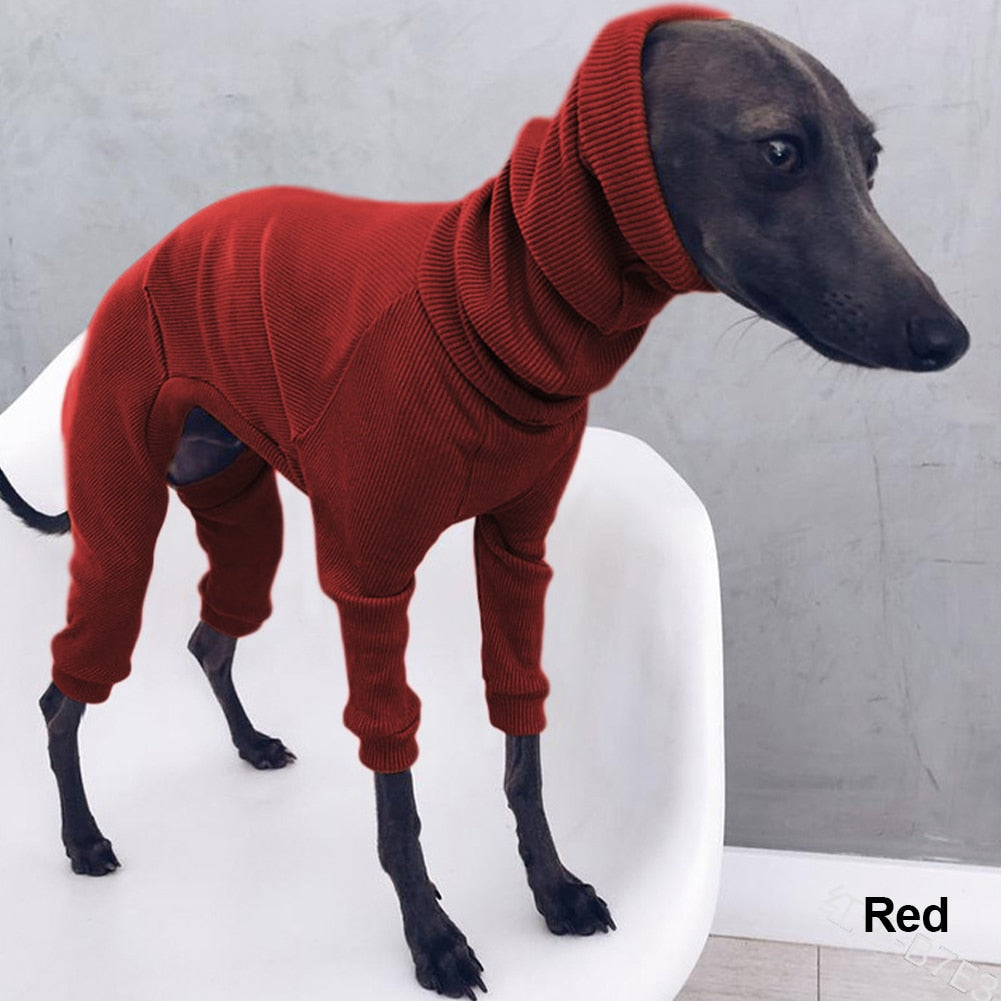 Turtleneck Sweater