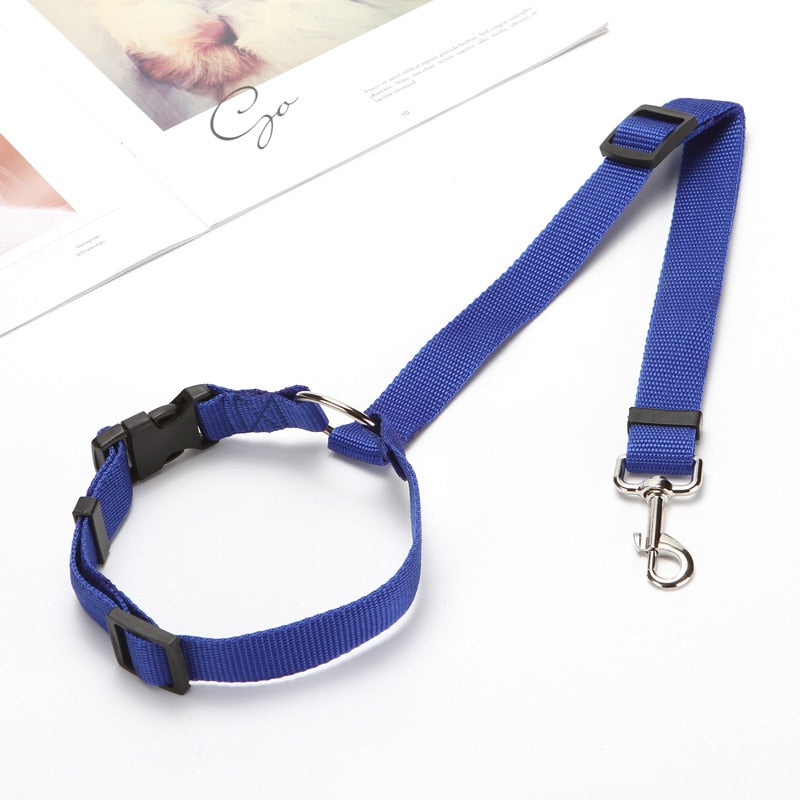 BackSeat Safety Belt