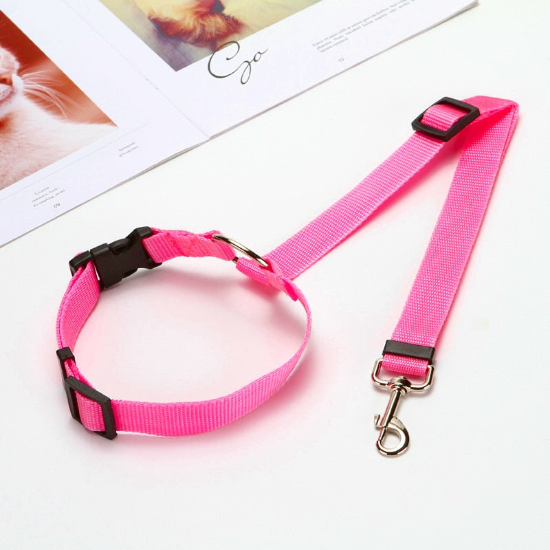 BackSeat Safety Belt