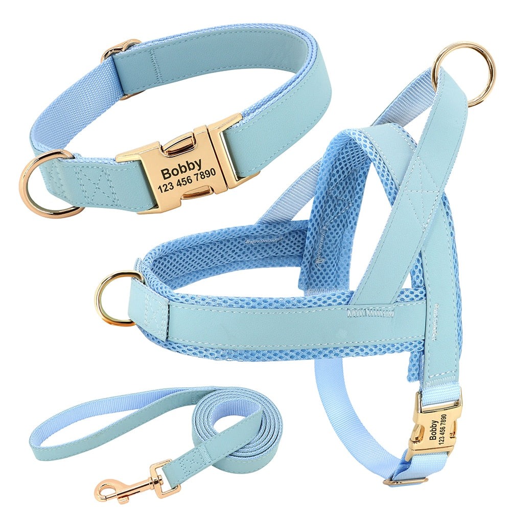 Personalized Set Collar Harness Leash