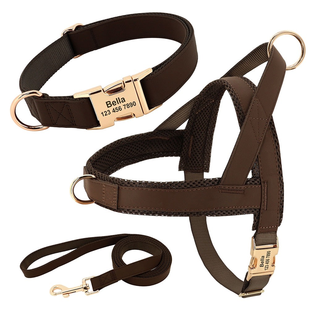 Personalized Set Collar Harness Leash