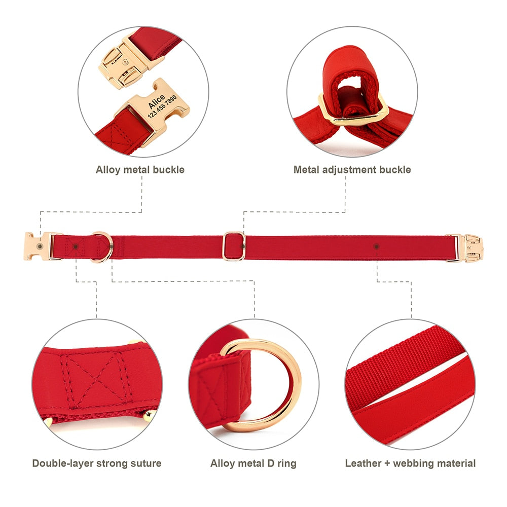 Personalized Set Collar Harness Leash
