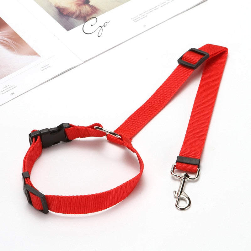 BackSeat Safety Belt