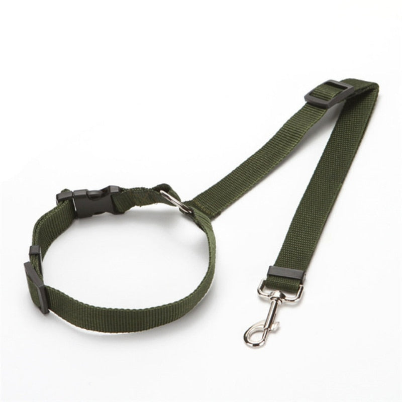 BackSeat Safety Belt