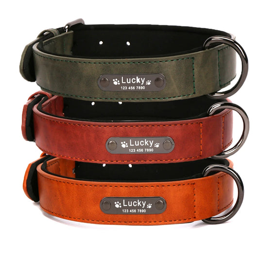 Personalized Luxury Collar