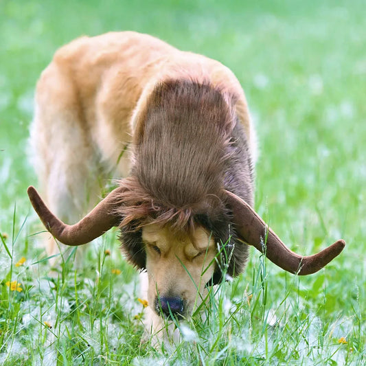 Headgear