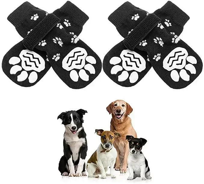 Paw Shoes