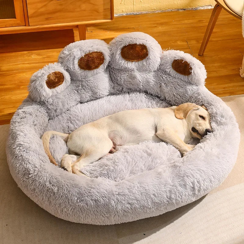 PAW BED